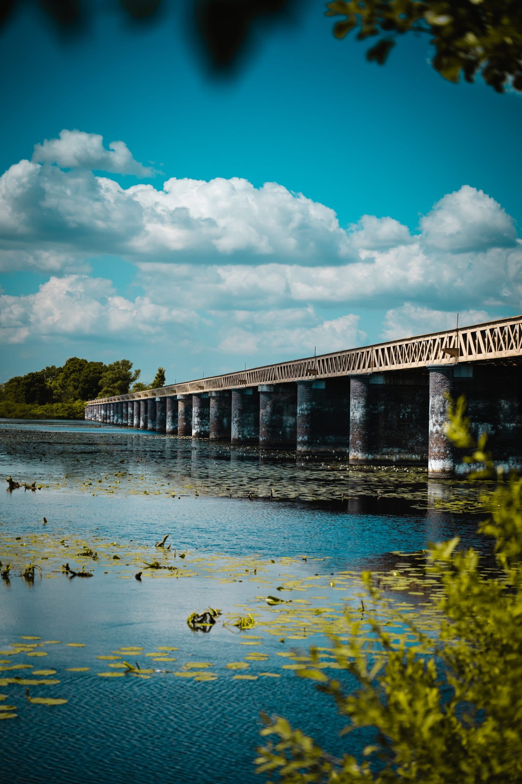 Langgerekte brug op concrete pijlers over rustig water met waterlelies, diepblauwe zomerlucht met stapelwolken